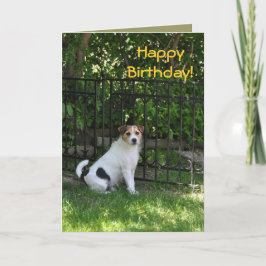 Grattis på födelsedagen från hunden kort