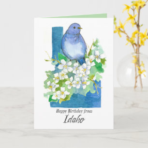 Grattis på födelsedagen från Idaho Bluebird Syring Kort