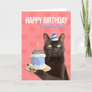 Grattis på födelsedagen från Katt Kattunge med kum Helgkort