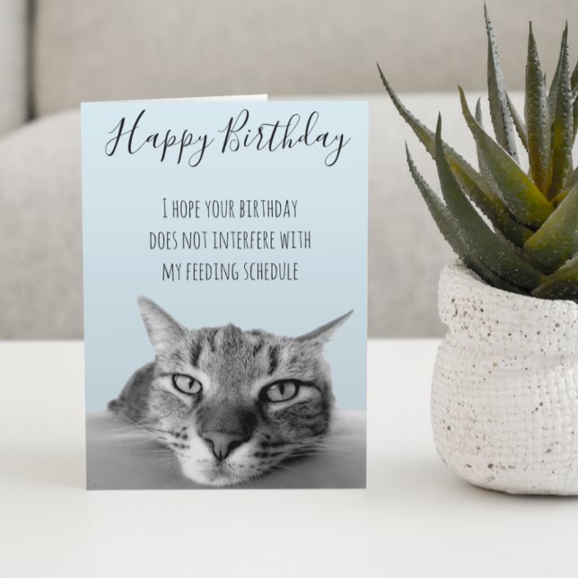Grattis på födelsedagen från katt Rolig humor Kort (Skapare uppladdad)