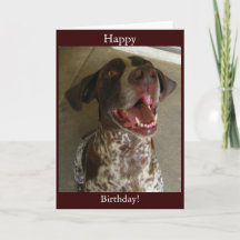 Grattis på födelsedagen från Lycklig Hund