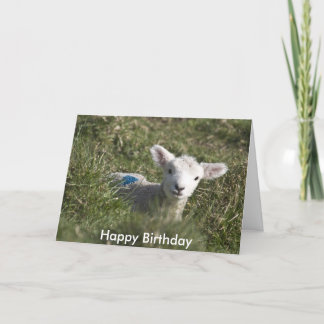 Grattis på födelsedagen från mig till ewe kort