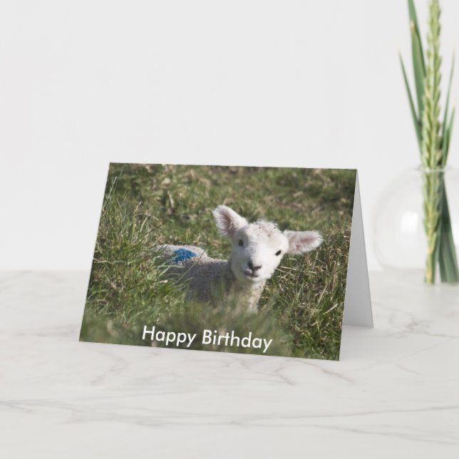 Grattis på födelsedagen från mig till ewe kort (Framsida)