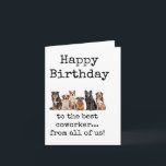 Grattis på födelsedagen från oss alla, medarbetark kort<br><div class="desc">Grattis på födelsedagen,  från oss alla,  till den bästa medarbetaren. Tvätta hundar på framsidan. Kortet kan hämtas omedelbart.</div>