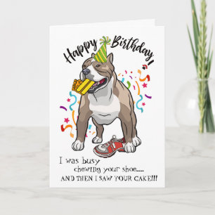 Grattis på födelsedagen från Pitbull Buddy Kort