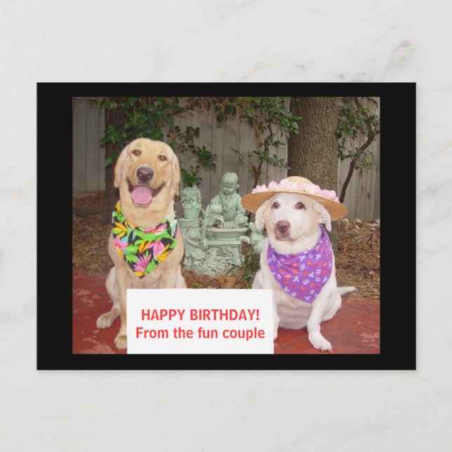 GRATTIS PÅ FÖDELSEDAGEN! Från roligten koppla ihop Vykort (Framsida)