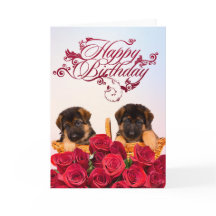 Grattis på födelsedagen från tyska Shepherd Hund