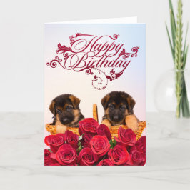 Grattis på födelsedagen från tyska Shepherd Hund Kort