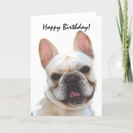 Grattis på födelsedagen Fransk Bulldog-hälsningsko Kort
