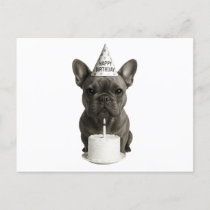 Grattis på födelsedagen Fransk Bulldog Helg Vykort