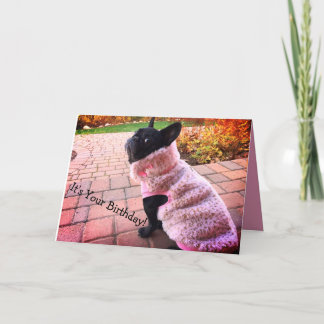 Grattis på födelsedagen Fransk Bulldog Kort