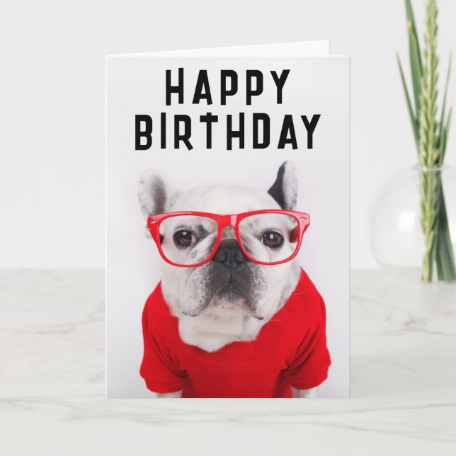 Grattis på födelsedagen | Fransk Bulldog med glasö Kort (Framsida)