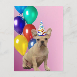 Grattis på födelsedagen Fransk Bulldog-vykort Vykort