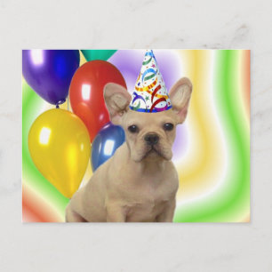 Grattis på födelsedagen Fransk Bulldog-vykort Vykort