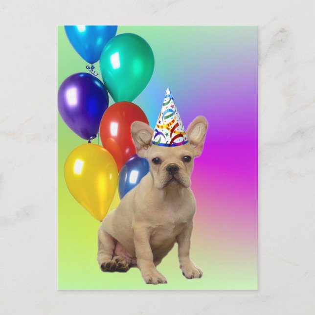 Grattis på födelsedagen Fransk Bulldog-vykort Vykort (Framsida)