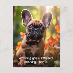 Grattis på födelsedagen Frenchie-valp i en djungel Vykort