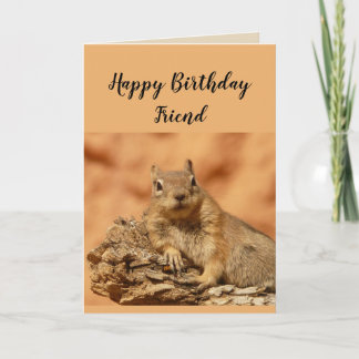 Grattis på födelsedagen Friend Funny Squirrel Humo Kort