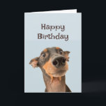 Grattis på födelsedagen Friend Rolig hund Grumpy O Kort<br><div class="desc">Grattis på födelsedagen Grumpy Old Man söt traumatiserad tittar hund</div>
