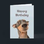 Grattis på födelsedagen Friend Rolig hund Grumpy O Kort<br><div class="desc">Grattis på födelsedagen Grumpy Old Man söt traumatiserad tittar hund</div>