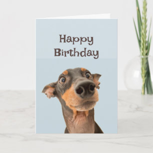 Grattis på födelsedagen Friend Rolig hund Grumpy O Kort