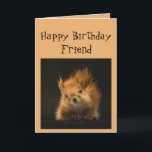 Grattis på födelsedagen Funny FRIEND Red Squirrel  Kort<br><div class="desc">Du blir gammal som en kanske kan se upp för fallande nöt</div>