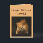 Grattis på födelsedagen Funny FRIEND Red Squirrel  Kort<br><div class="desc">Du blir gammal som en kanske kan se upp för fallande nöt</div>