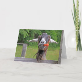 Grattis på födelsedagen Funny Goat Kort
