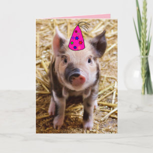 GRATTIS PÅ FÖDELSEDAGEN FUNNY GRIS PIGLET GREETING HELGKORT