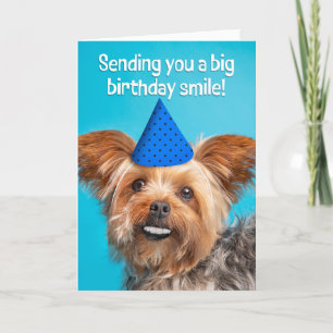 Grattis på födelsedagen Funny Yorkie Hund med tjug Helgkort
