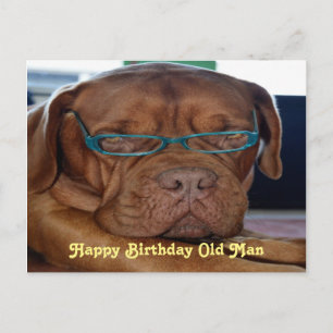 Grattis på födelsedagen gammal mans hundtryck vykort