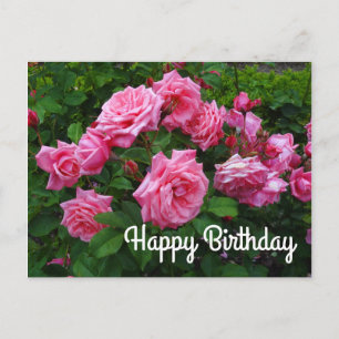 Grattis på födelsedagen Gene Boerner Rose #2 vykor Vykort