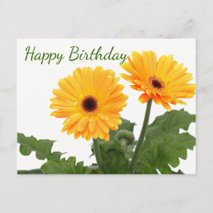 Grattis på födelsedagen Gerbera Daisy Orange Grönt Vykort