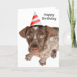 Grattis på födelsedagen German Shorthar Pointer Pu Helgkort