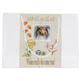 Grattis på födelsedagen Gift Bag som önskar en Hun