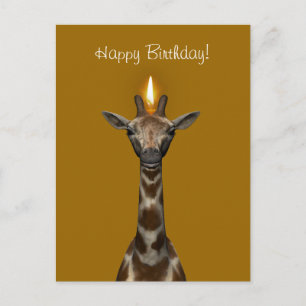 Grattis på födelsedagen Giraffe Vykort