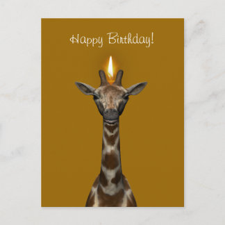Grattis på födelsedagen Giraffe Vykort