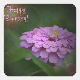 Grattis på födelsedagen Glowing Zinnia Square Stic Fyrkantigt Klistermärke