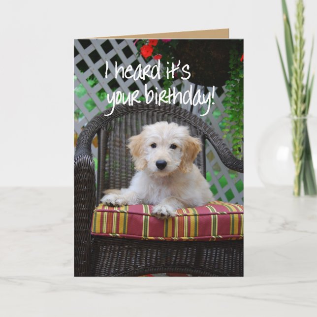 Grattis på födelsedagen Golden Doodle Puppy Kort (Framsida)