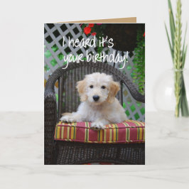 Grattis på födelsedagen Golden Doodle Puppy Kort