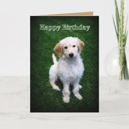 Grattis på födelsedagen Golden Doodle Puppy Kort