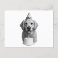 Grattis på födelsedagen Golden Retriever