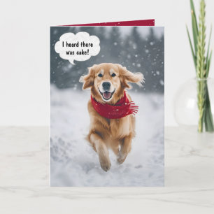 Grattis på födelsedagen Golden Retriever i Snö Kort