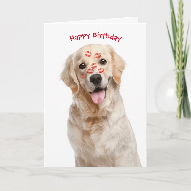 Grattis på födelsedagen Golden Retriever Kort (Framsida)