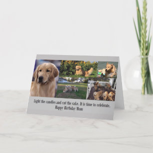Grattis på födelsedagen Golden Retriever Mamma Col Kort