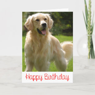 Grattis på födelsedagen Golden Retriever Puppy Car Kort