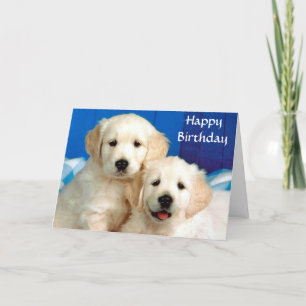 Grattis på födelsedagen Golden Retriever Puppy Car Kort