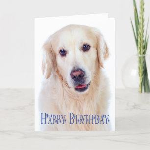 Grattis på födelsedagen Golden Retriever Puppy Hun Kort