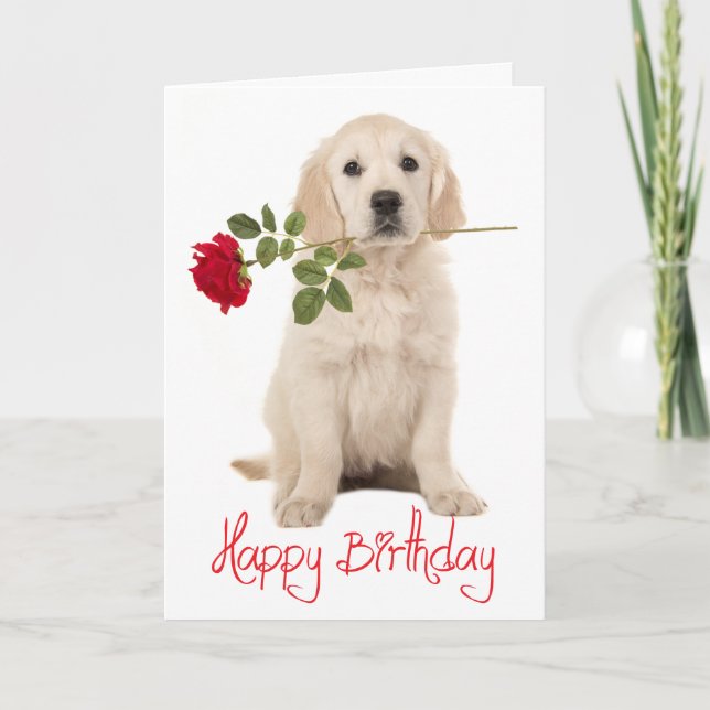 Grattis på födelsedagen Golden Retriever Puppy Hun Kort (Framsida)