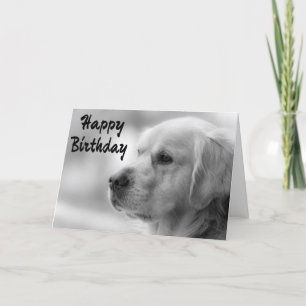 Grattis på födelsedagen Golden Retriever Puppy Hun Kort