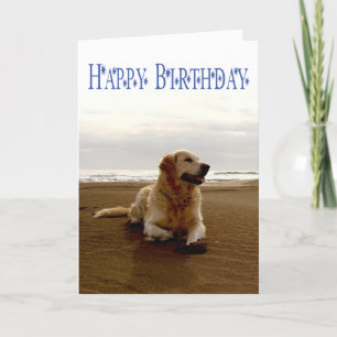 Grattis på födelsedagen Golden Retriever Puppy Hun Kort